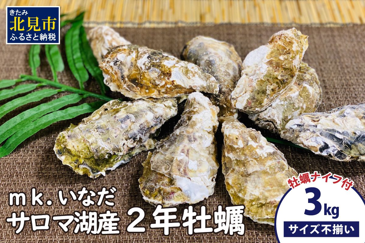 【予約：2026年10月下旬から順次発送】サロマ湖産 殻付き2年牡蠣 3kg サイズ不揃い ※牡蠣ナイフ付 ( カキ かき 3キロ 魚介 海鮮 貝 ふるさと納税 BBQ バーベキュー )【113-0015-2026】