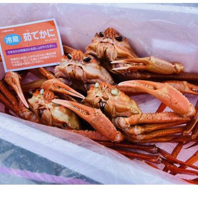 ふるさと納税 松江市 山陰産紅ずわいがに姿4枚入り
