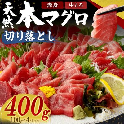 ふるさと納税 室戸市 天然本マグロ(赤身・中とろ)切り落とし400g 刺身用 訳あり 海鮮漬け丼などアレンジさまざま