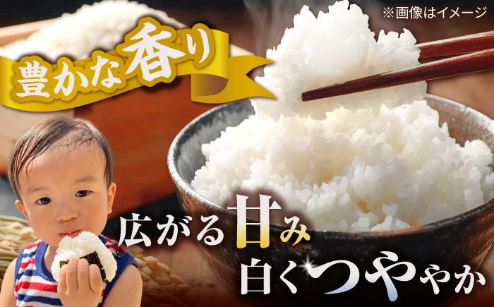 令和8年産 新米 米 定期便 きぬむすめ 松江市産 ごはん ソムリエ厳選 減農薬 10kg 白米 島根 お米 ギフト お歳暮