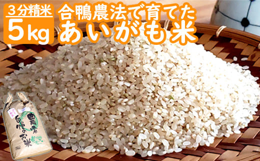 合鴨農法で育てた あいがも米 (3分づき) 5kg 合鴨米 ひのひかり あきの舞 米 こめ 合鴨農法 農家直送 産地直送　AS-7111
