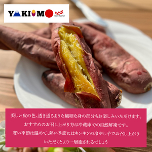 GC-2　【日本最大級のサツマイモの祭典、さつまいも博2024 出店】はるの優しさ（冷凍やきいも）約1kg　冷凍 焼芋 焼き芋 やきいも さつまいも さつま芋 熟成 選べる