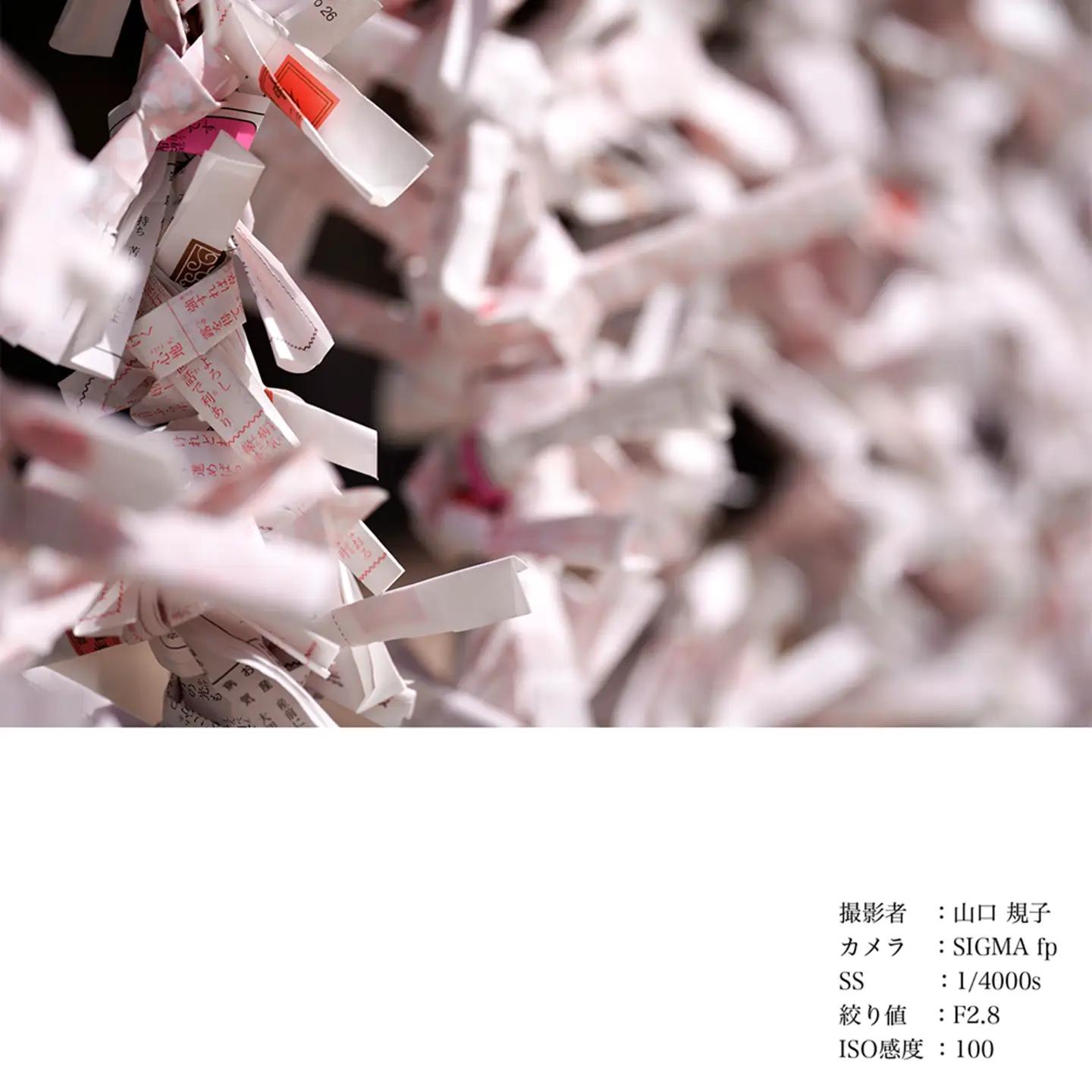 SIGMA 105mm F2.8 DG DN MACRO｜Art【ソニーEマウント】カメラ　レンズ　家電
