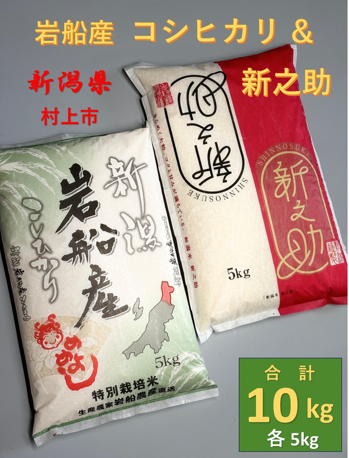 
            【令和6年産米】岩船産新之助・特別栽培米岩船産コシヒカリセット10kg　1013004
          