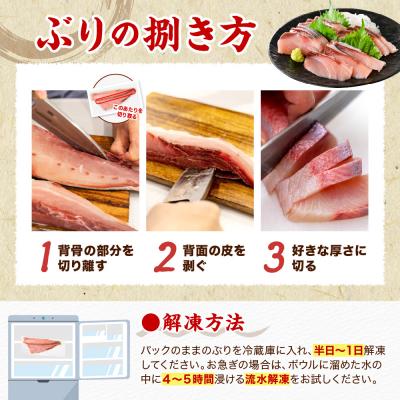 ふるさと納税 えりも町 えりも【マルデン特製】北海道日高産ぶり半身1.2〜1.4kg【er002-077-ss】 |  | 02