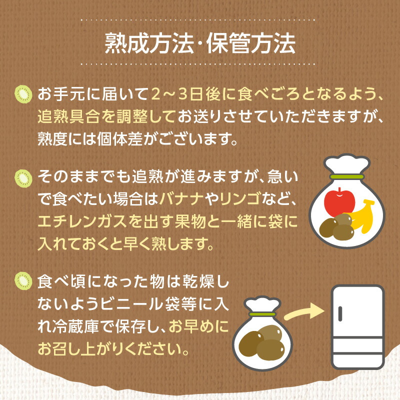 【2025年12月発送開始】【先行予約】博多甘熟娘（うれっこ）キウイ約3.6kg｜ＪＡふくおか八女 キウイフルーツ 福岡 高糖度 先行予約 グリーンキウイ ヘイワード種