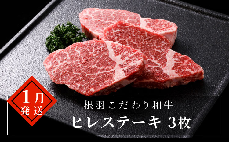 【全7回 定期便】定期便限定 赤身ステーキ入り ステーキ尽くし ステーキ定期便!