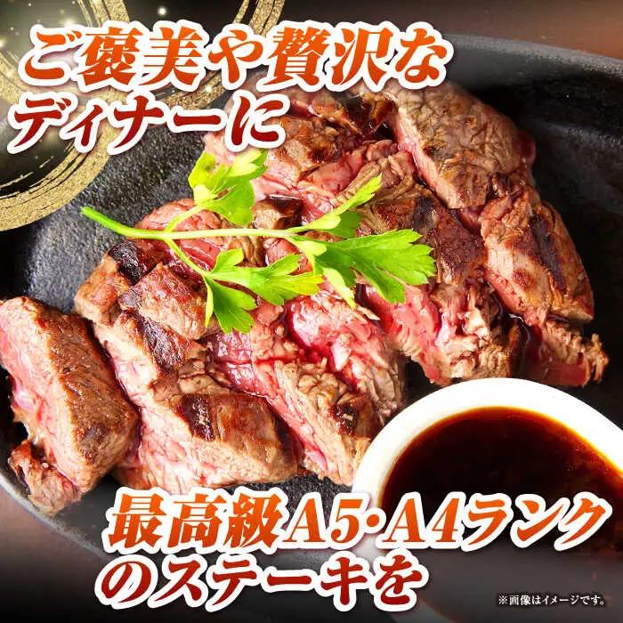 【全12回定期便】長崎和牛 サーロイン ヒレ ステーキセット 各1枚 《壱岐市》【KRAZY MEAT】 A5 A4 冷凍 和牛 肉 牛肉 BBQ 詰め合わせ 贈り物[JER135] 九州