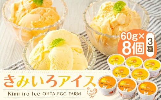 
            きみいろアイス　60g×8個
          