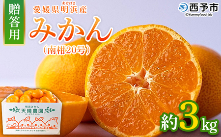 ＜みかん（南柑20号）贈答用 約3kg＞ 果物 くだもの フルーツ ミカン 柑橘 なんかん20ごう ナンカン20ゴウ 温州みかん うんしゅうみかん 贈答 ギフト プレゼント 特産品 株式会社笑丸 愛媛県 西予市【常温】『2026年12月上旬～2027年1月上旬迄に順次出荷予定』AAN0049