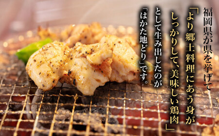 【化粧箱入】はかた地どり モモ・ムネ肉 合計500g 塩胡椒付焼き鳥 焼き肉 すき焼き用《築上町》【株式会社マル五】 [ABCJ029] おすすめ鶏モモ肉 鶏モモ照り焼き 鶏モモ唐揚げ 鶏モモ焼 人気