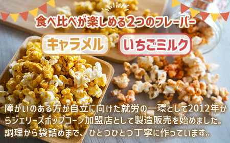 ポップコーン M 2種 各2袋 ポップコーン