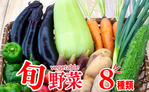 野菜  8 品目 | お楽しみ やさい セット 旬 春 夏 秋 冬 採れたて 新鮮 農家 直送 詰め合わせ 国産 季節 フレッシュ きゅうり ピーマン なす トマト 大根 白菜 高知県 須崎市 ME062_x