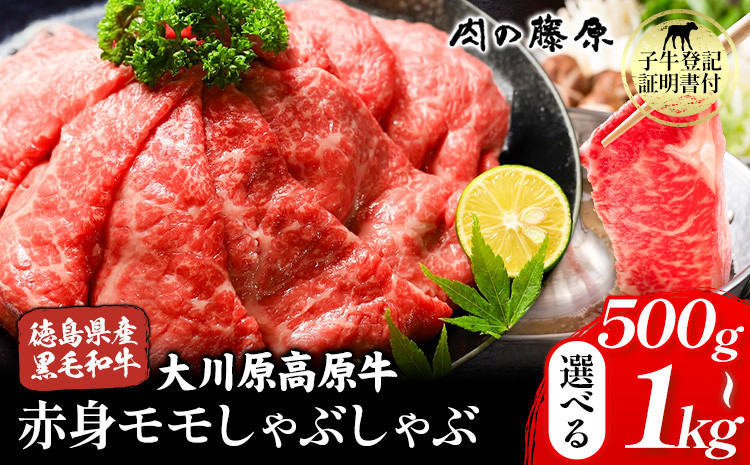 
            大川原高原牛 赤身モモしゃぶしゃぶ 選べる内容量 500g 1kg 株式会社肉の藤原《90日以内に出荷予定(土日祝除く)》徳島県 佐那河内村 和牛 希少 佐那河内 さなごうち 大川原高原 牛肉  赤身 もも肉 贅沢 あっさり 冷しゃぶ ギフト 贈答
          