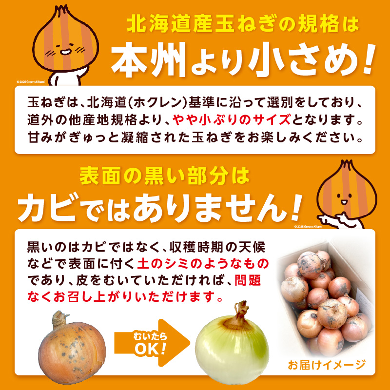 ☆L玉隔月定期便(10月・12月・2月)☆JAきたみらいから直送する新鮮玉ねぎ 10kg(L玉)×3回 ( 野菜 定期便 玉葱 たまねぎ 期間限定 )【999-0147-2025】