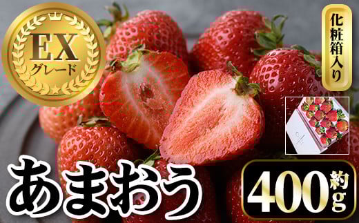 ＜先行予約受付中・数量限定＞026年2月上旬から順次お届け！プレミアムあまおうEX 化粧箱入り(約400g) 苺 いちご あまおう イチゴ フルーツ 果物 くだもの 手作り スイーツ ギフト 贈答 数量限定 冷蔵 ＜離島配送不可＞【ksg1675】【THE FARM_strawberry】