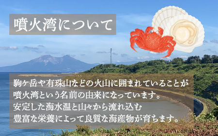 【地元現役漁師が厳選！！】ボイル・毛ガニ3尾（1尾300～400g）北海道 豊浦 噴火湾 【 ふるさと納税 人気 おすすめ ランキング 魚介類 カニ 蟹 かに 毛がに 毛蟹 大容量 お得 おいしい 美