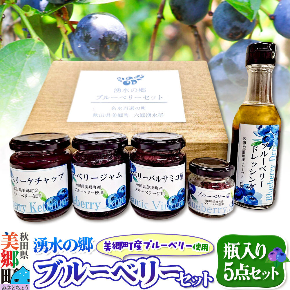 【ふるさと納税】湧水の郷ブルーベリーセット 5点 （バルサミコ酢、ドレッシング、ジャム、ケチャップ、ブルーベリー塩） [秋田 美郷町 バルサミコ ビネガー ギフト ドレッシング 調味料 ジャム フルーツ 果実 果物]