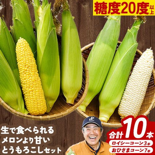 【ふるさと納税】先行予約 とうもろこし2種セット 合計10本（おひさまコーン7本、ロイシーコーン3本） 元木農場《8月下旬-9月中旬より発送(土日祝除く)》 北海道十勝浦幌町産 生でも食べられる糖度20度以上 朝もぎたてとうもろこし 旬の時期にお届け 朝採り