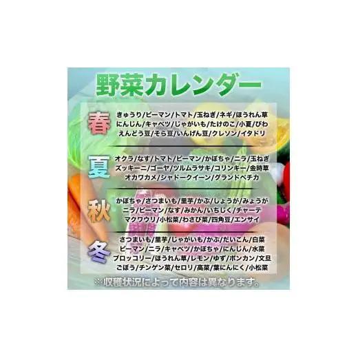 【 野菜定期便 】 野菜定期便詰め合わせ