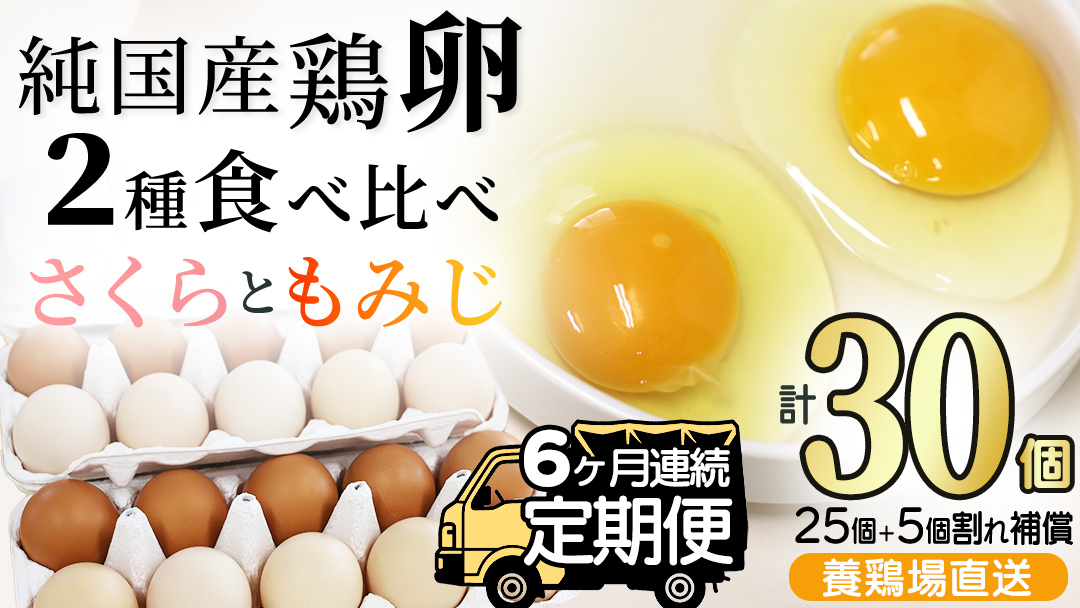 純国産鶏【さくらともみじ】純たまご30個 (破損保証5個含む)【6ヶ月連続お届け】 (AJ033)