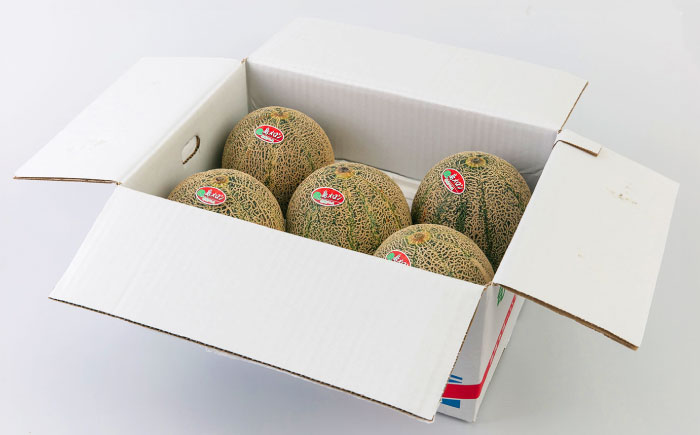 【2025年6月中旬以降順次発送】【数量限定】 壱岐産 アムスメロン 4～5玉 《壱岐市》【壱岐市農業協同組合】[JBO017] メロン 青肉 フルーツ 果物 先行予約 季節限定 23000 2300