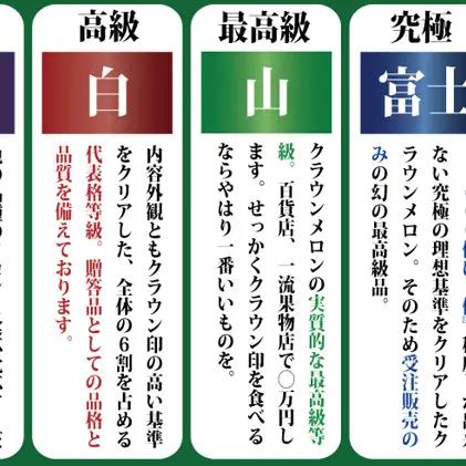 【7ヶ月定期便】クラウンメロン（白等級）中玉　1玉入 　果物 フルーツ デザート メロン マスクメロン 青肉 高級 ギフト 贈り物 静岡県産 袋井市