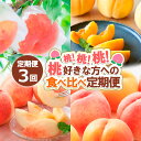 【ふるさと納税】【定期便3回】桃！桃！桃！桃好きな方への食べ比べ定期便 FY24-017