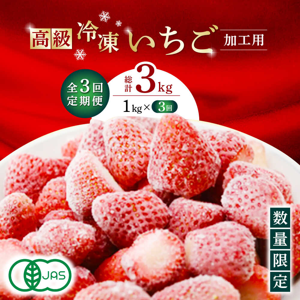 【ふるさと納税】【3回定期便】【先行予約】高級 冷凍 いちご 加工用 約1kg（約500g×2袋）【伊藤農園】[ZBB015]