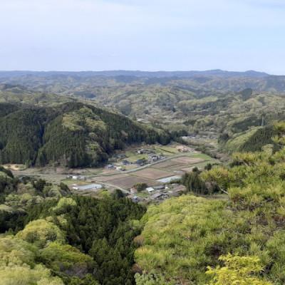 ふるさと納税 大子町 立神米はいごころ【大子町産・玄米・15kg】 |  | 02