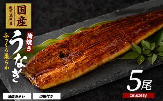 
【鹿児島県産】うなぎ蒲焼じっくり焼き約165g×5尾 化粧箱入り(大新/037-1106) うなぎ 国産 鹿児島 蒲焼 丑の日 丑 土用丑の日

