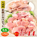 【ふるさと納税】【内容量が選べる！】九州産若どり小分けセット 鶏肉 鶏 お肉 鶏ハラミ 鶏もも モモ肉 切り身 若鶏 国産 ジューシー おかず 料理 普段使い 便利 アレンジ 唐揚げ 揚げ物 チキン南蛮 炒め物 ソテー 冷凍 パック 小分け 小分けパック 宮崎県 宮崎市 送料無料