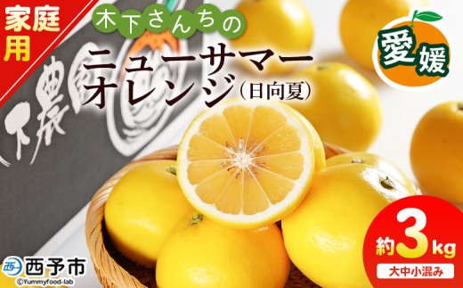 ＜木下さんちのニューサマーオレンジ 家庭用 約3kg（大中小サイズ混み）＞ 柑橘類 日向夏 ミカン 蜜柑 果物 くだもの フルーツ 国産 特産品 木下農園 愛媛県 西予市【常温】『2027年4月上旬〜5月中旬に順次出荷』