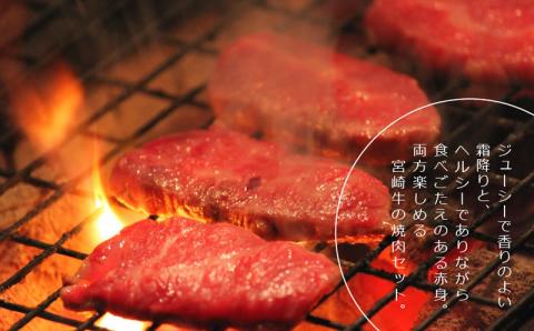 ＜宮崎牛＞霜降りと赤身の焼肉セット900g※90日以内出荷【C204】