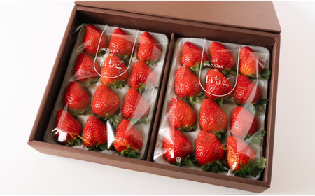 定期便 3回 フルーツ 定期便 いちご メロン お茶 国産 イチゴ 果物 アイス 森木農園 静岡県 牧之原市 