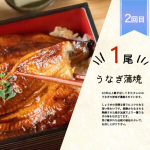 【毎月定期便】魚鶴商店が選ぶ人気お魚D(サバフィレ・うなぎ蒲焼・銀鮭切身)全3回【配送不可地域：離島】【4001347】
