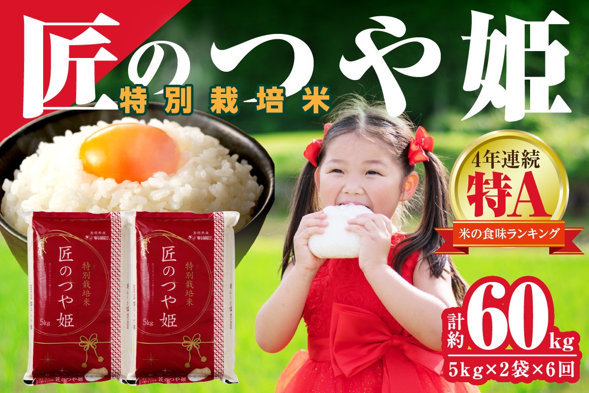 
                  【令和７年産】【定期便】特別栽培米「匠のつや姫」（10kg×6回コース） 定期便 6回 10kg 米 お米 こめ 白米 玄米 ごはん コメ つや姫 特別栽培米 【058_1858】
                