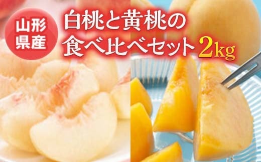 
《先行予約 2025年度発送》白桃と黄桃の食べ比べセット 約2kg もも モモ 桃 デザート フルーツ 果物 くだもの 果実 食品 山形県 FSY-0524
