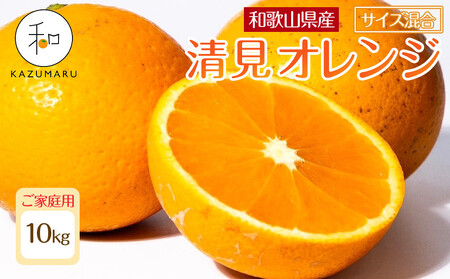 家庭用 森本農園の手選別 清見オレンジ 10kg 和歌山県産 サイズ混合 ［北海道・沖縄・離島配送不可］［RN39］［2026年2月上旬から5月中旬頃順次発送予定］