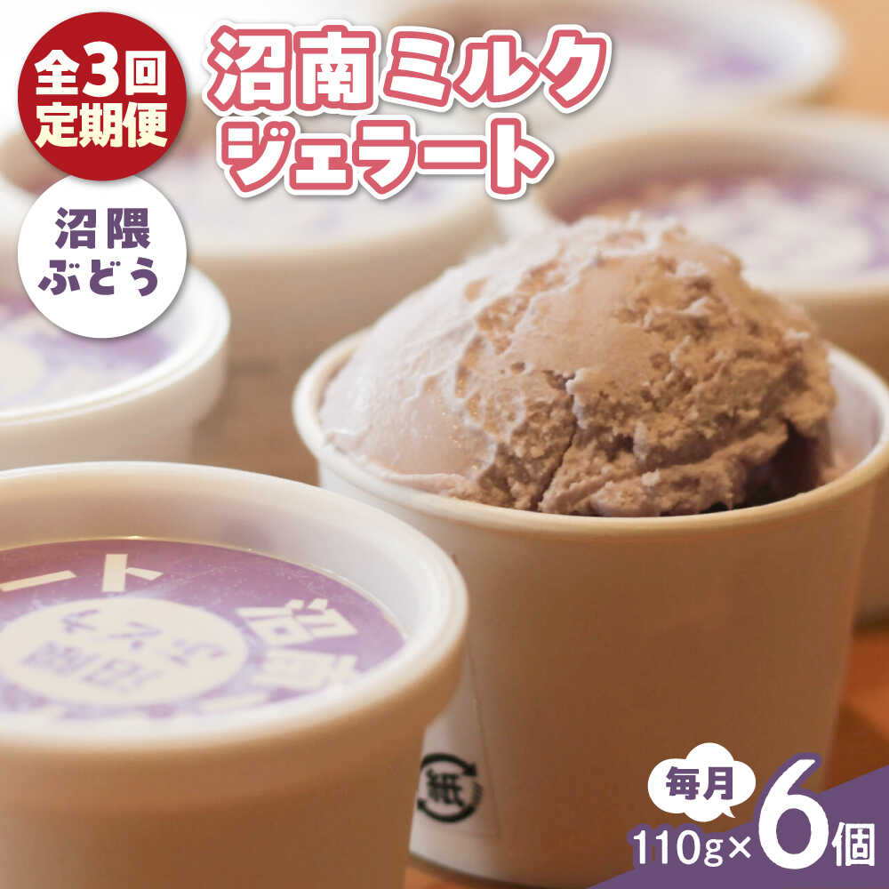 【ふるさと納税】【全3回定期便】沼南ミルクジェラート 沼隈ぶどう 6個 アイス ぶどう アイス アイスクリーム デザート スイーツ ご当地 おすすめ 人気 ひんやりスイーツ お取り寄せグルメ 詰め合わせ セット ギフト 贈り物 定期便 広島県福山市/甚ごろう[BAEC042]