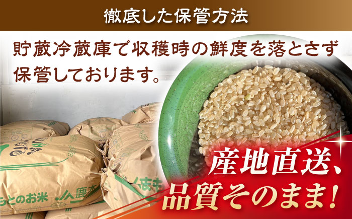 【先行予約】【数量限定】【天日塩を使用】一鹿米 旭一号 玄米 20kg【株式会社 夢アグリ】 [ZCL006]