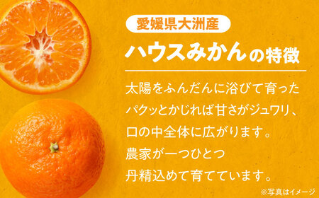 【7月下旬より順次発送】口いっぱいに広がる甘さ！大洲産ハウスみかん（2SからSサイズ）800g×2袋 愛媛県大洲市/沢井青果有限会社 [AGBN020]果物みかん果物みかん果物みかん