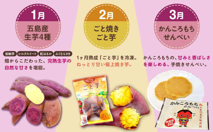 【12回定期便】五島の芋まんきつ定期便 五島市ふるさと納税/五島市 [PZX052]