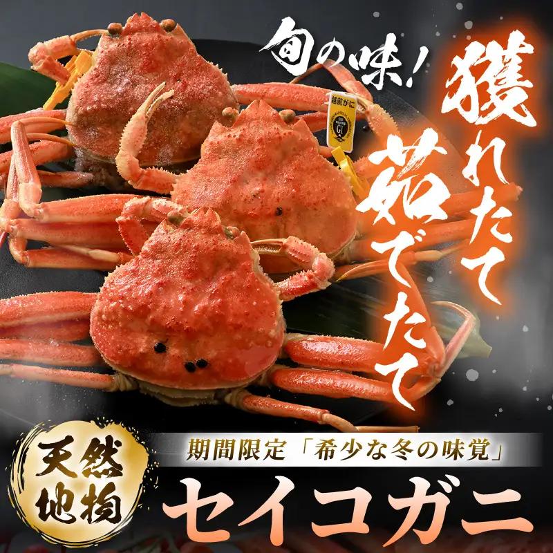 先行予約【冷蔵】 旬のセイコガニ 小 3杯 計300g以上（茹で前） 説明書付き 【2026年12月上旬以降順次発送予定】 ズワイガニ メス せいこがに [m21-x001_12]