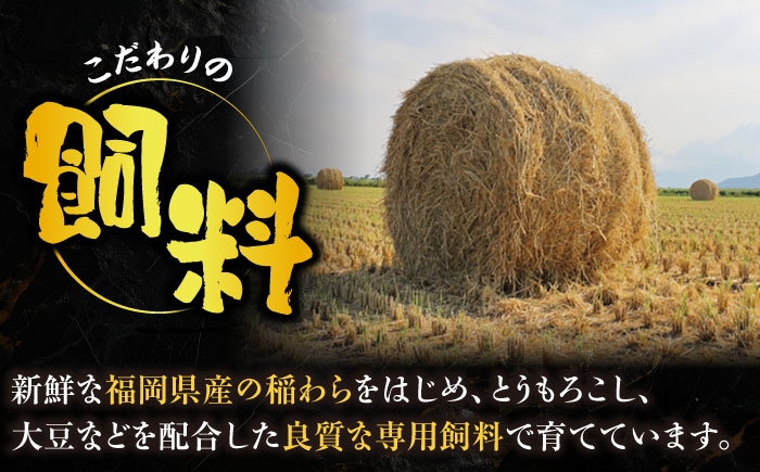 【全3回定期便】博多和牛 モモ スライス 400g【2月発送開始】《豊前市》【JA全農ミートフーズ株式会社】 牛肉 肉 おすすめ 人気 [VET025]
