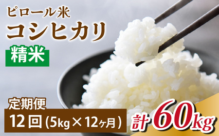 【12ヶ月定期便】富山県滑川産 弱アルカリ性米「ピロール農法米 コシヒカリ」（精米5kg）×12回 計60kg 与文のお米 産地直送 こしひかり おにぎり お米 白米 国産 ご飯 ごはん 滑川市 ピロ