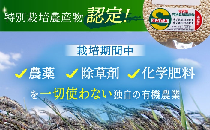 【栽培期間中農薬不使用】丸麦 500g＜1等麦使用＞江北町産 サチホゴールデン【葦農】[HAJ012] / 麦 雑穀 雑穀米
