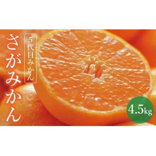 【期間限定】さがみかん (5代目みかん) 4.5kg【温州みかん 甘い 濃厚 ジューシー コク 完熟 熟成みかん 蔵出し 蔵入り 柑橘 密柑 ギフト 果物 フルーツ 佐賀県産 佐賀県 大和 太良 石橋果樹園 人気】