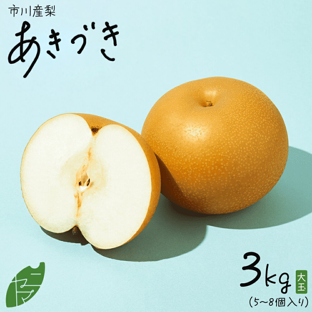 【ふるさと納税】市川産　梨　あきづき　3kg　【12203-0463】 なし ナシ 市川のなし 果物 くだもの フルーツ 市川市 ヤマニ果樹農園