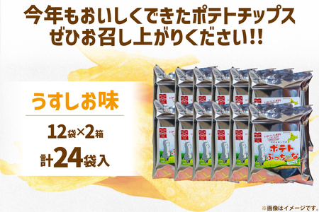 【期間限定発送】 ポテトチップス うすしお 60g 12袋入 2箱 計24袋 1.44kg ポテトぷっちーな [クレヨン農園 北海道 剣淵町 14656332] ポテトチップ ポテチ しお お菓子 ス